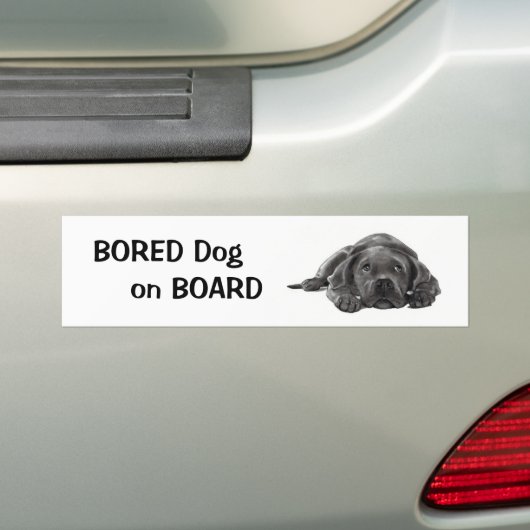 BOORD AAN BOORD: Potcil Art Bumpersticker (Op auto)