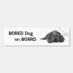BOORD AAN BOORD: Potcil Art Bumpersticker