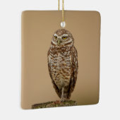 Boorend aardewerk Ornament (Rechts)