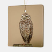 Boorend aardewerk Ornament (Links)