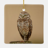 Boorend aardewerk Ornament (Achterkant)