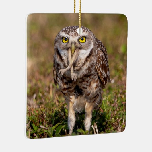 Boorend aardewerk Ornament (Rechts)