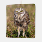 Boorend aardewerk Ornament (Links)