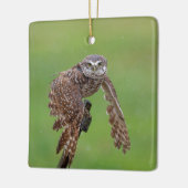 Boorend aardewerk Ornament (Links)