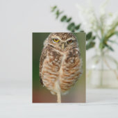 Boorende boomkor op één been briefkaart (Staand voorkant)