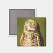 Boorende boomkornetten magneet (Voorkant / Achterkant)