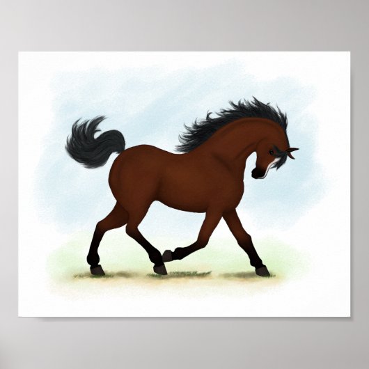 Boorpaard met Blaze Equestrian Poster (Voorkant)
