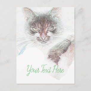 Boos Cute Cate Gezicht Schets Briefkaart