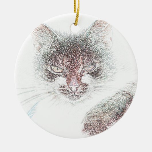 Boos Cute Kattengezicht Schets Keramisch Ornament (Voorkant)