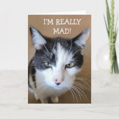 Boos op kanker kat kaart (Voorkant)