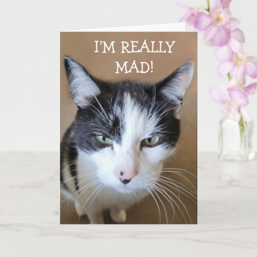 Boos op kanker kat kaart (Orchidee)