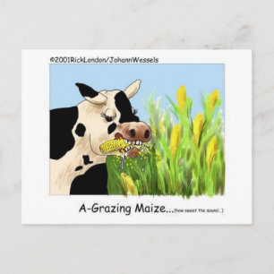 Boosmakend Doolhof Grappige Koe Cartoon Cadeaus Ve Briefkaart