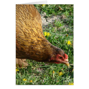 Boost de Hen Blank in Wenskaart