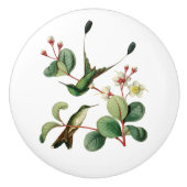 Boost Racket Tail Hummingbird Keramische Knop (Voorkant)