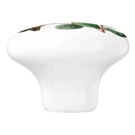 Boost Racket Tail Hummingbird Keramische Knop (Zijkant)