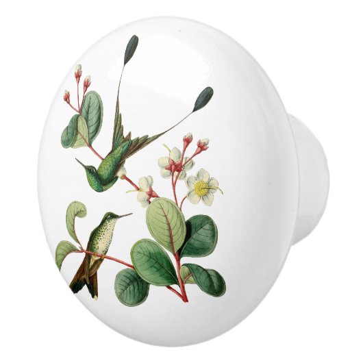 Boost Racket Tail Hummingbird Keramische Knop (Rechts)