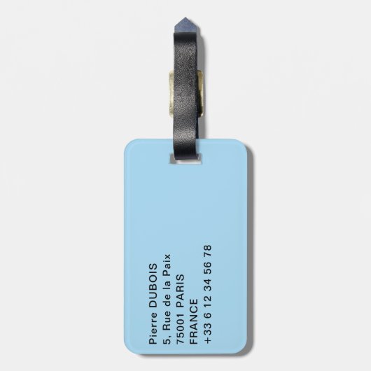 Boot en ballon bij Amerikaanse Niagara Herfsten Bagagelabel (Achterkant verticaal)