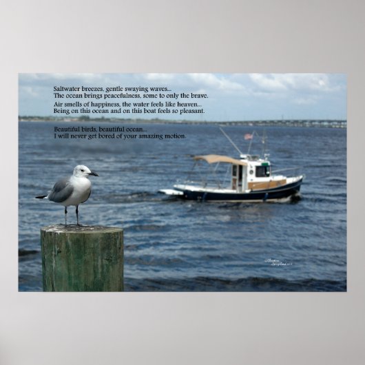 Boot oceaan zeemeeuw gedicht poëzie Poster (Voorkant)
