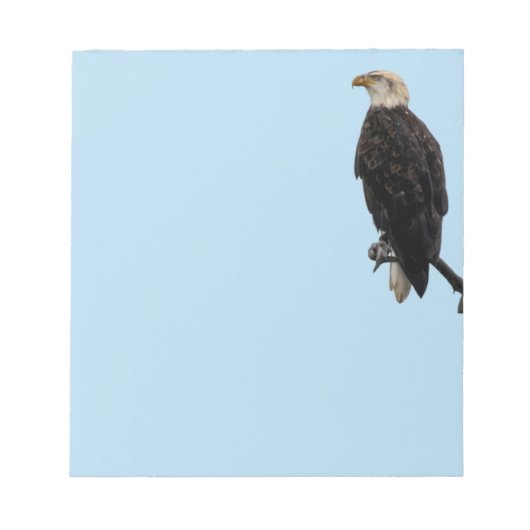 Bootblok Eagle Notitieblok (Voorkant)