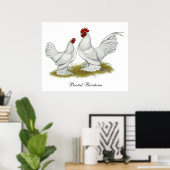 Booted Bantams Poster (Thuiskantoor)