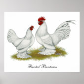 Booted Bantams Poster (Voorkant)