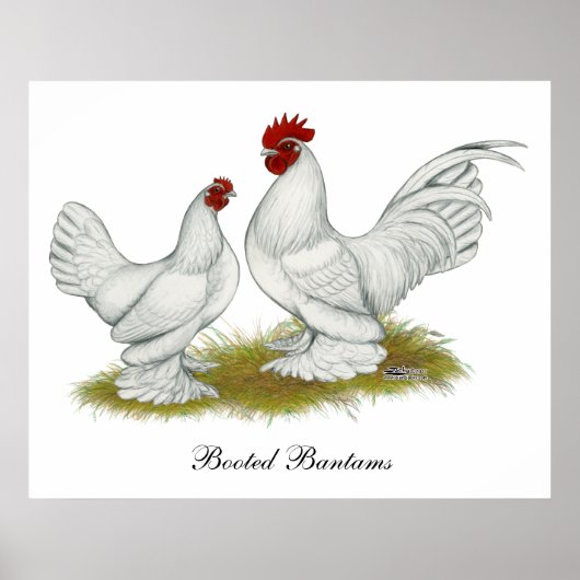 Booted Bantams Poster (Voorkant)