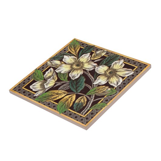 Booth Victoriaans Wilde White Rose Transferware Re Tegeltje (Zijkant)