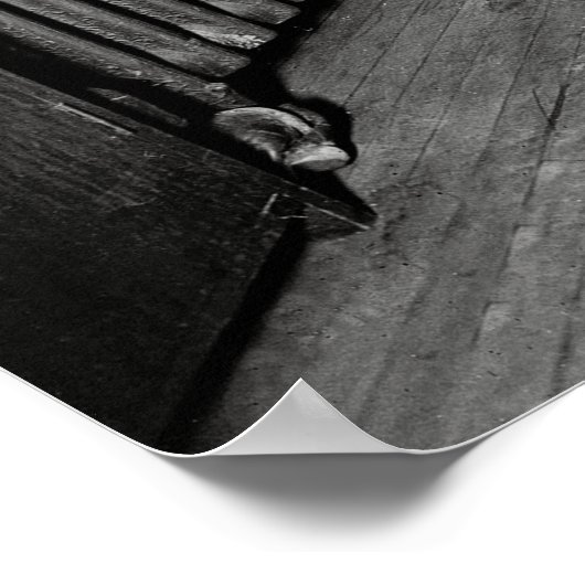 BOOTLEG BUST - JAIL EVIDENCE ROOM 1929 POSTER (Hoek)