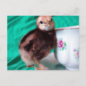 Boots Briefkaart (Voorkant)