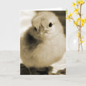 Boot's Chick in Sepia Alle gelegenheden Blank Binn Kaart (Gele Bloem)