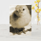 Boot's Chick Kaart (Gele Bloem)