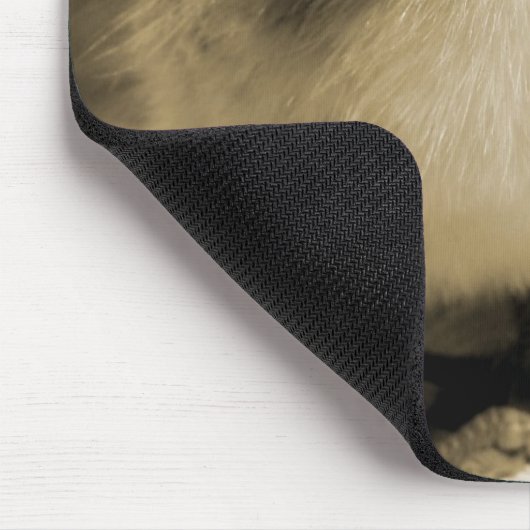 Boot's Chick Muismat (Hoek)