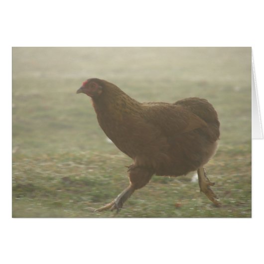 Boots in de mist (Voorkant Horizontaal)