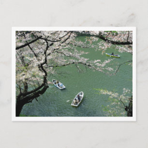 Bootvaren op Chidorigafuchi: Tokyo, Japan Briefkaart