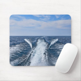 Bootwake op Lake Michigan Muismat