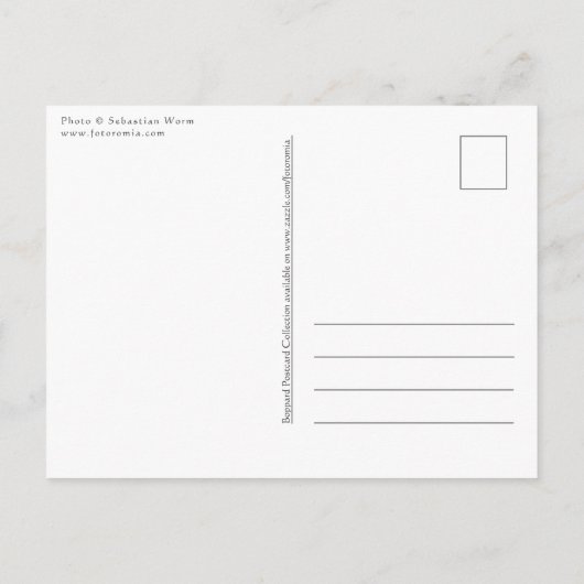 Boppard am Rhein Briefkaart (Achterkant)