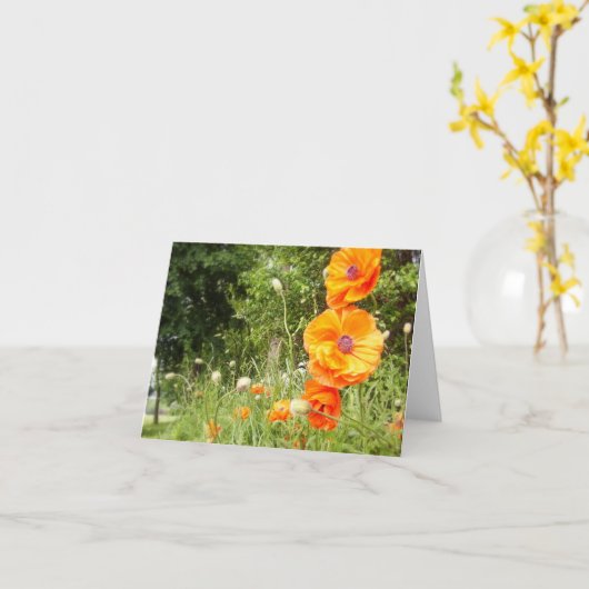 Boppy Poppies / Note Kaart (Gele Bloem)