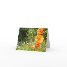 Boppy Poppies / Note Kaart