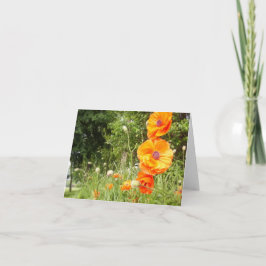 Boppy Poppies / Note Kaart