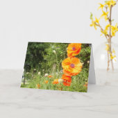 Boppy Poppies / Verjaardag Wenskaart Kaart (Gele Bloem)