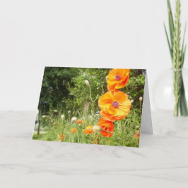Boppy Poppies / Verjaardag Wenskaart Kaart