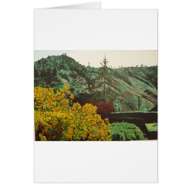 Boquete, Panama#3-schildering (Voorkant)