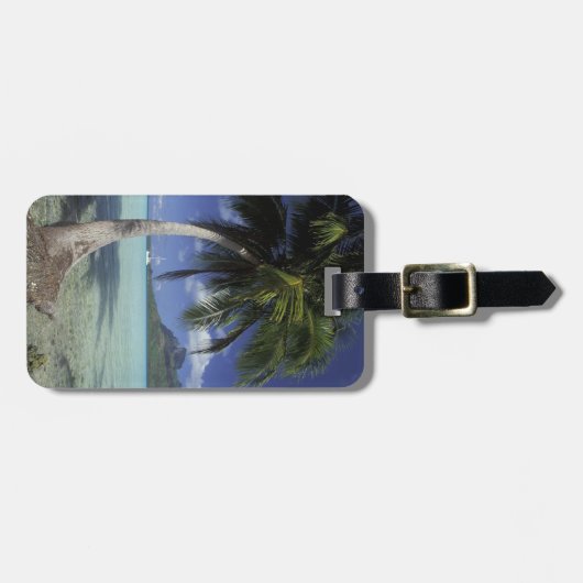 Bora Bora, Frans Polynesië Mt. Otemanu, gezien Bagagelabel (Voorkant horizontaal)