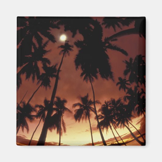 Bora Bora, Frans-Polynesië Zonsondergang door Magneet (Voorkant)