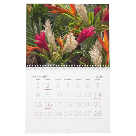 Bora Bora | French Polynesia | Tahitian Calendar Kalender (Feb 2026)