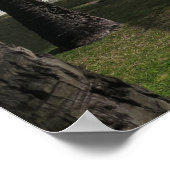 Bora Bora hammock Poster (Hoek)