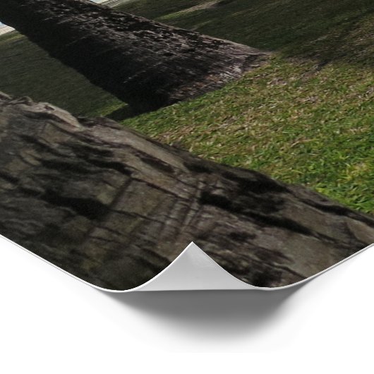 Bora Bora hammock Poster (Hoek)