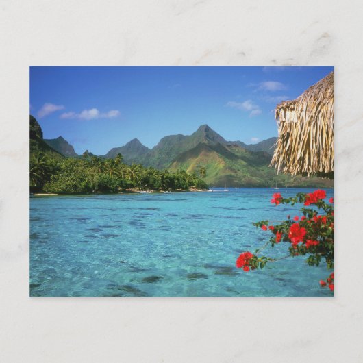 Bora Bora Island, Frans Polynesië Briefkaart (Voorkant)