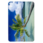 Bora Magnet Magneet (Verticaal)