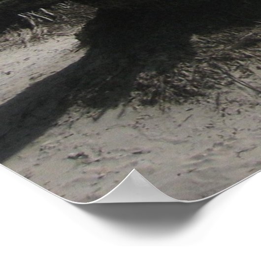 Boracay Poster (Hoek)